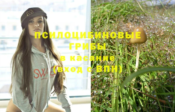 мдпв Лихославль