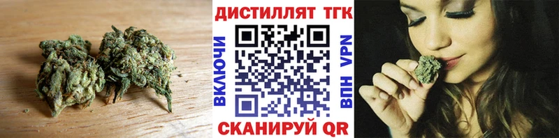 Купить где  Магас  ТГК THC oil 