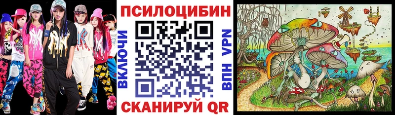 Купить где  Магас  Псилоцибиновые грибы прущие грибы 